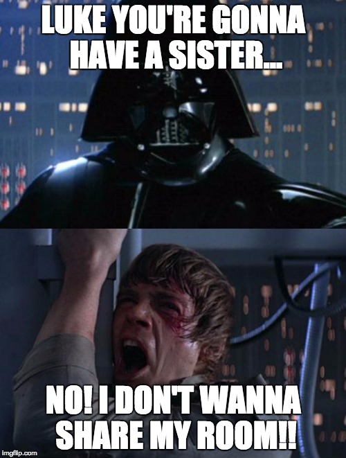 "I am your father" | LUKE YOU'RE GONNA HAVE A SISTER... NO! I DON'T WANNA SHARE MY ROOM!! | image tagged in i am your father | made w/ Imgflip meme maker