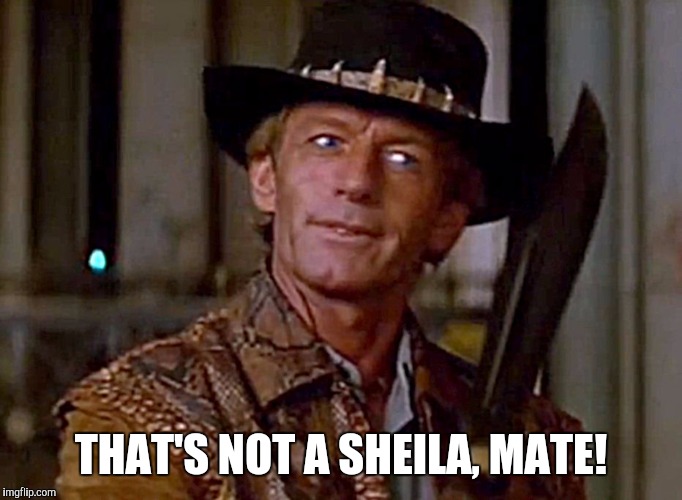 Crocodile Dundee1 | THAT'S NOT A SHEILA, MATE! | image tagged in crocodile dundee1 | made w/ Imgflip meme maker