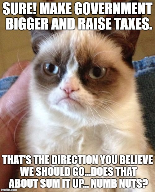 Grumpy Cat Meme | SURE! MAKE GOVERNMENT BIGGER AND RAISE TAXES. THAT'S THE DIRECTION YOU BELIEVE WE SHOULD GO...DOES THAT ABOUT SUM IT UP... NUMB NUTS? | image tagged in memes,grumpy cat | made w/ Imgflip meme maker