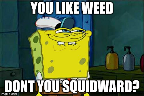 Don't You Squidward Meme | YOU LIKE WEED; DONT YOU SQUIDWARD? | image tagged in memes,dont you squidward | made w/ Imgflip meme maker