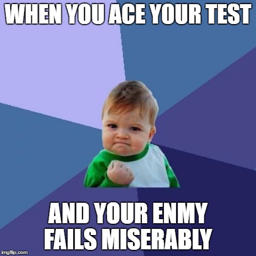 Success Kid | WHEN YOU ACE YOUR TEST; AND YOUR ENMY FAILS MISERABLY | image tagged in memes,success kid | made w/ Imgflip meme maker