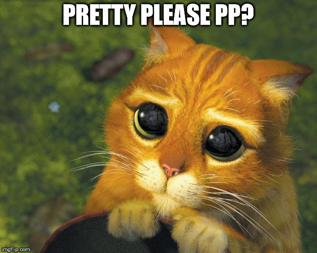 Pretty Please Cat | PRETTY PLEASE PP? | image tagged in pretty please cat | made w/ Imgflip meme maker