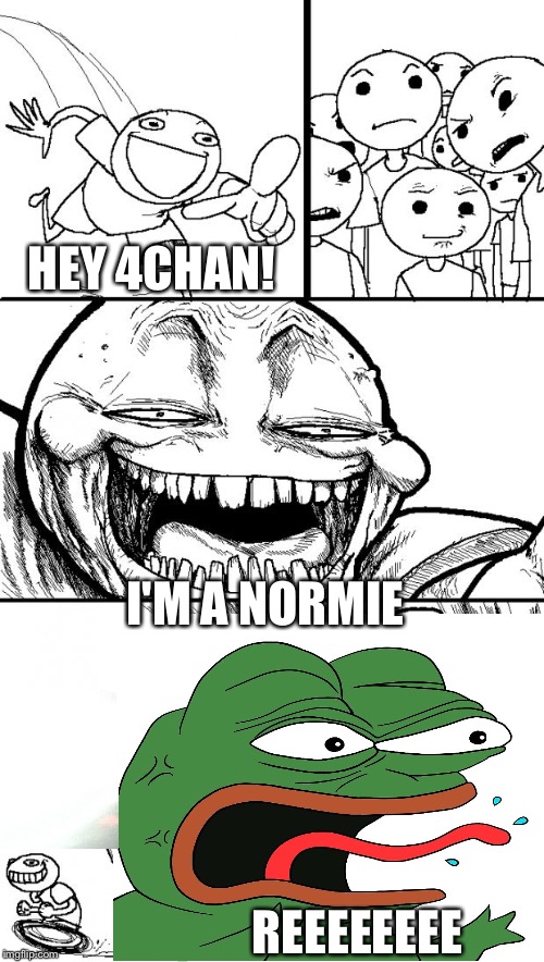 Hey 4Chan! | HEY 4CHAN! I'M A NORMIE; REEEEEEEE | image tagged in memes,hey internet | made w/ Imgflip meme maker