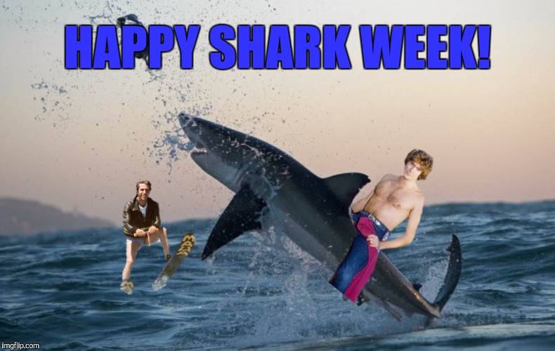 The actual beginning of the end of Happy Days  | HAPPY SHARK WEEK! | image tagged in fonzie,david hasselhoff,shark | made w/ Imgflip meme maker