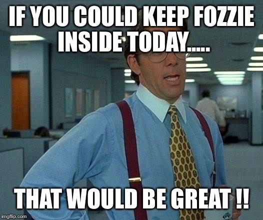 That Would Be Great | IF YOU COULD KEEP FOZZIE INSIDE TODAY..... THAT WOULD BE GREAT !! | image tagged in memes,that would be great | made w/ Imgflip meme maker