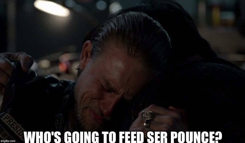 Jax care for cats | WHO'S GOING TO FEED SER POUNCE? | image tagged in game of thrones,sons of anarchy | made w/ Imgflip meme maker