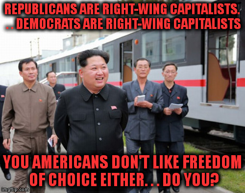 U.S. mainstream political parties. . . same agenda, different wedge issues. | REPUBLICANS ARE RIGHT-WING CAPITALISTS. . . DEMOCRATS ARE RIGHT-WING CAPITALISTS; YOU AMERICANS DON'T LIKE FREEDOM OF CHOICE EITHER. . . DO YOU? | image tagged in north korea,freedom,democrat,republican,fascism,american politics | made w/ Imgflip meme maker