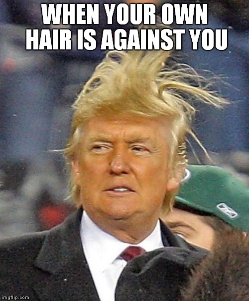 Donald Trumph hair | WHEN YOUR OWN HAIR IS AGAINST YOU | image tagged in donald trumph hair | made w/ Imgflip meme maker