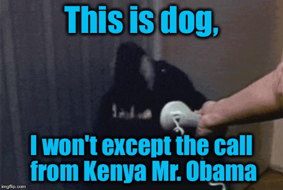 This is dog, I won't except the call from Kenya Mr. Obama | made w/ Imgflip meme maker