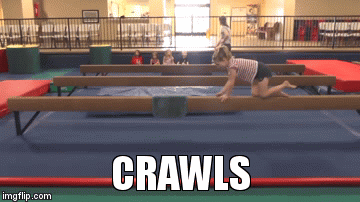 CRAWLS | image tagged in gifs | made w/ Imgflip video-to-gif maker