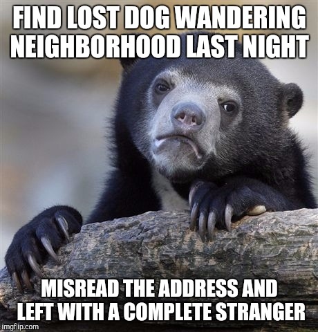 Confession Bear Meme | FIND LOST DOG WANDERING NEIGHBORHOOD LAST NIGHT; MISREAD THE ADDRESS AND LEFT WITH A COMPLETE STRANGER | image tagged in memes,confession bear,AdviceAnimals | made w/ Imgflip meme maker