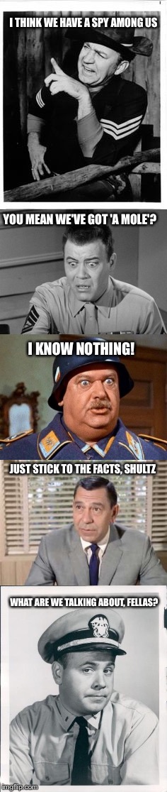One of these things is not like the others.One of these things just doesn't belong. | I THINK WE HAVE A SPY AMONG US; YOU MEAN WE'VE GOT 'A MOLE'? I KNOW NOTHING! JUST STICK TO THE FACTS, SHULTZ; WHAT ARE WE TALKING ABOUT, FELLAS? | image tagged in tv humor | made w/ Imgflip meme maker
