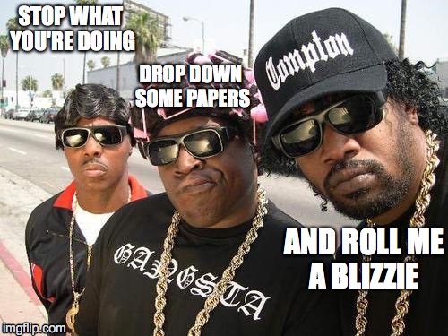 STOP WHAT YOU'RE DOING AND ROLL ME A BLIZZIE DROP DOWN SOME PAPERS | made w/ Imgflip meme maker