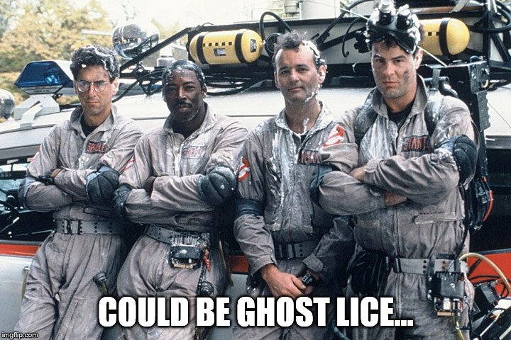 COULD BE GHOST LICE... | made w/ Imgflip meme maker