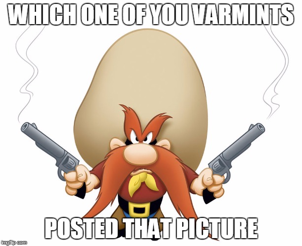 Yosemite Sam | WHICH ONE OF YOU VARMINTS; POSTED THAT PICTURE | image tagged in yosemite sam | made w/ Imgflip meme maker