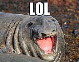 Weird Seal | LOL | image tagged in weird seal | made w/ Imgflip meme maker