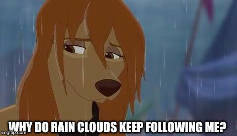 Why do Rain Clouds Keep Following Me? |  WHY DO RAIN CLOUDS KEEP FOLLOWING ME? | image tagged in dixie sad,memes,disney,the fox and the hound 2,reba mcentire,dog | made w/ Imgflip meme maker