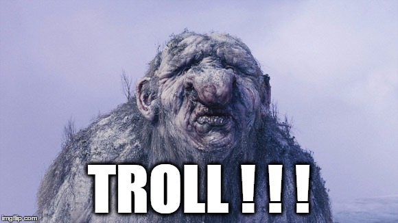 TROLL ! ! ! | image tagged in troll | made w/ Imgflip meme maker