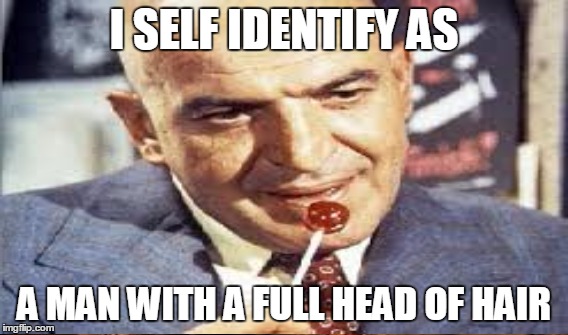 Telly! | I SELF IDENTIFY AS; A MAN WITH A FULL HEAD OF HAIR | image tagged in funny,meme,telly | made w/ Imgflip meme maker