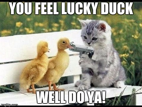 YOU FEEL LUCKY DUCK; WELL DO YA! | image tagged in cats | made w/ Imgflip meme maker