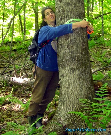 treehugger Blank Meme Template