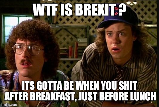 WTF IS BREXIT ? ITS GOTTA BE WHEN YOU SHIT AFTER BREAKFAST, JUST BEFORE LUNCH | image tagged in brexit,weird al yankovic | made w/ Imgflip meme maker