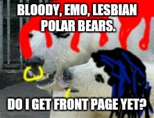 The shit I do to get front page... | BLOODY, EMO, LESBIAN POLAR BEARS. DO I GET FRONT PAGE YET? | image tagged in polar bears,bloody,emo,lesbian,front page,reddit | made w/ Imgflip meme maker