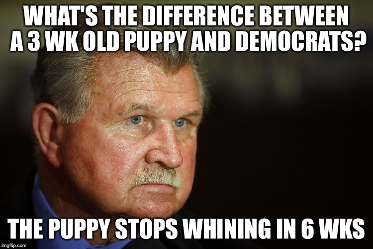 MIke Ditka | WHAT'S THE DIFFERENCE BETWEEN A 3 WK OLD PUPPY AND DEMOCRATS? THE PUPPY STOPS WHINING IN 6 WKS | image tagged in mike ditka | made w/ Imgflip meme maker