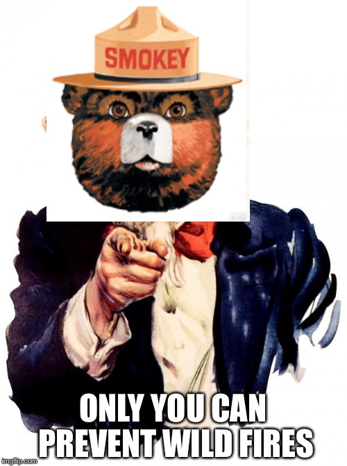 Uncle smokey | ONLY YOU CAN PREVENT WILD FIRES | image tagged in memes,uncle sam | made w/ Imgflip meme maker