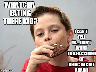 I CAN'T TELL YA... DON'T WANT TO BE ACCUSED OF BEING RACIST AGAIN! WHATCHA EATING THERE KID? | image tagged in brownies | made w/ Imgflip meme maker