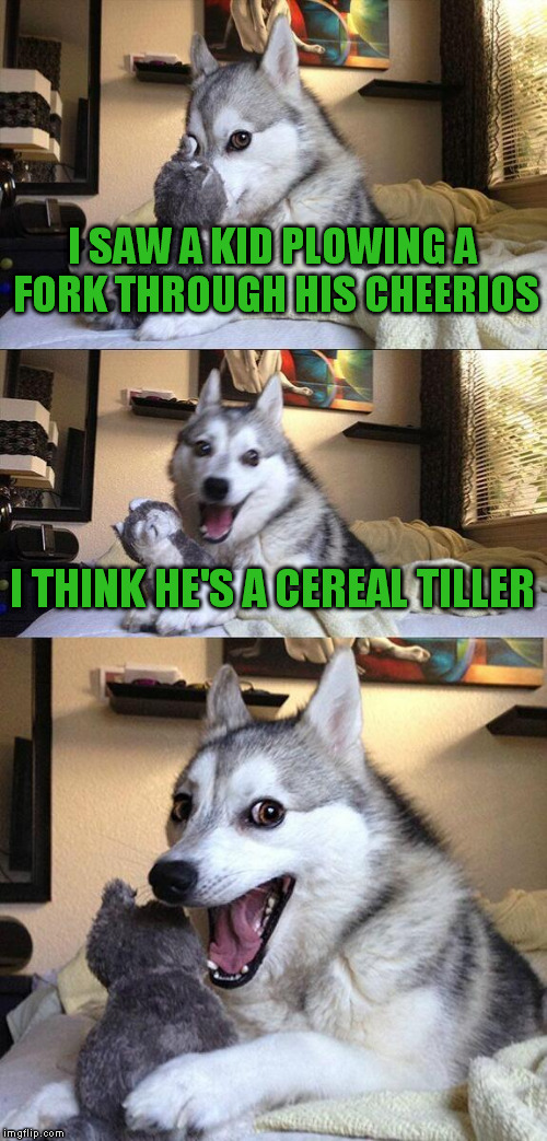 Bad Pun Dog | I SAW A KID PLOWING A FORK THROUGH HIS CHEERIOS; I THINK HE'S A CEREAL TILLER | image tagged in memes,bad pun dog | made w/ Imgflip meme maker