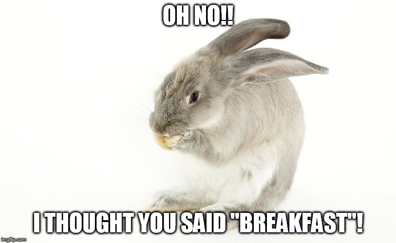 Brexit? | OH NO!! I THOUGHT YOU SAID "BREAKFAST"! | image tagged in brexit,bunny | made w/ Imgflip meme maker