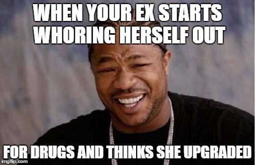 Yo Dawg Heard You | WHEN YOUR EX STARTS WHORING HERSELF OUT; FOR DRUGS AND THINKS SHE UPGRADED | image tagged in memes,yo dawg heard you | made w/ Imgflip meme maker
