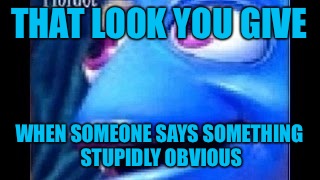 I knew this was destined to be a meme | THAT LOOK YOU GIVE; WHEN SOMEONE SAYS SOMETHING STUPIDLY OBVIOUS | image tagged in memes,finding dory | made w/ Imgflip meme maker
