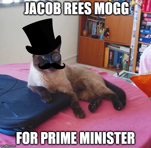 Like a Catsir | JACOB REES MOGG; FOR PRIME MINISTER | image tagged in like a catsir | made w/ Imgflip meme maker