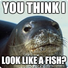 YOU THINK I; LOOK LIKE A FISH? | made w/ Imgflip meme maker