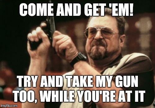 Am I The Only One Around Here Meme | COME AND GET 'EM! TRY AND TAKE MY GUN TOO, WHILE YOU'RE AT IT | image tagged in memes,am i the only one around here | made w/ Imgflip meme maker