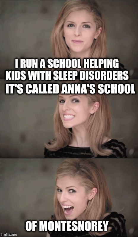 I've had Meme Apnea lately.  | I RUN A SCHOOL HELPING KIDS WITH SLEEP DISORDERS; IT'S CALLED ANNA'S SCHOOL; OF MONTESNOREY | image tagged in memes,bad pun anna kendrick,sleep,school | made w/ Imgflip meme maker