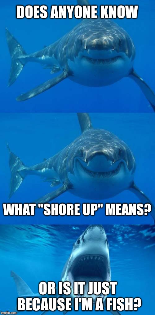 Bad Shark Pun  | DOES ANYONE KNOW; WHAT "SHORE UP" MEANS? OR IS IT JUST BECAUSE I'M A FISH? | image tagged in bad shark pun | made w/ Imgflip meme maker