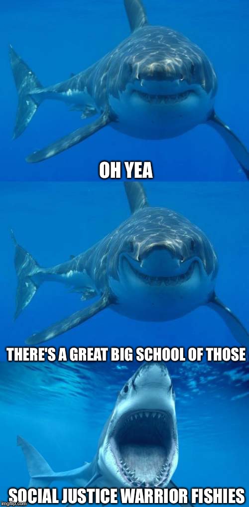 Shark Week - Oceans Depth... Are There Safe Spaces | OH YEA; THERE'S A GREAT BIG SCHOOL OF THOSE; SOCIAL JUSTICE WARRIOR FISHIES | image tagged in bad shark pun,social justice warriors,social justice warrior,safe space | made w/ Imgflip meme maker