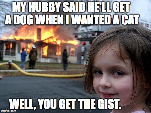MY HUBBY SAID HE'LL GET A DOG WHEN I WANTED A CAT WELL, YOU GET THE GIST. | image tagged in memes,disaster girl | made w/ Imgflip meme maker