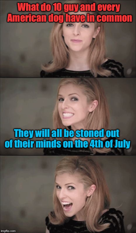 An all American tradition | What do 10 guy and every American dog have in common; They will all be stoned out of their minds on the 4th of July | image tagged in memes,bad pun anna kendrick,4th of july,dogs,10 guy,stoned | made w/ Imgflip meme maker