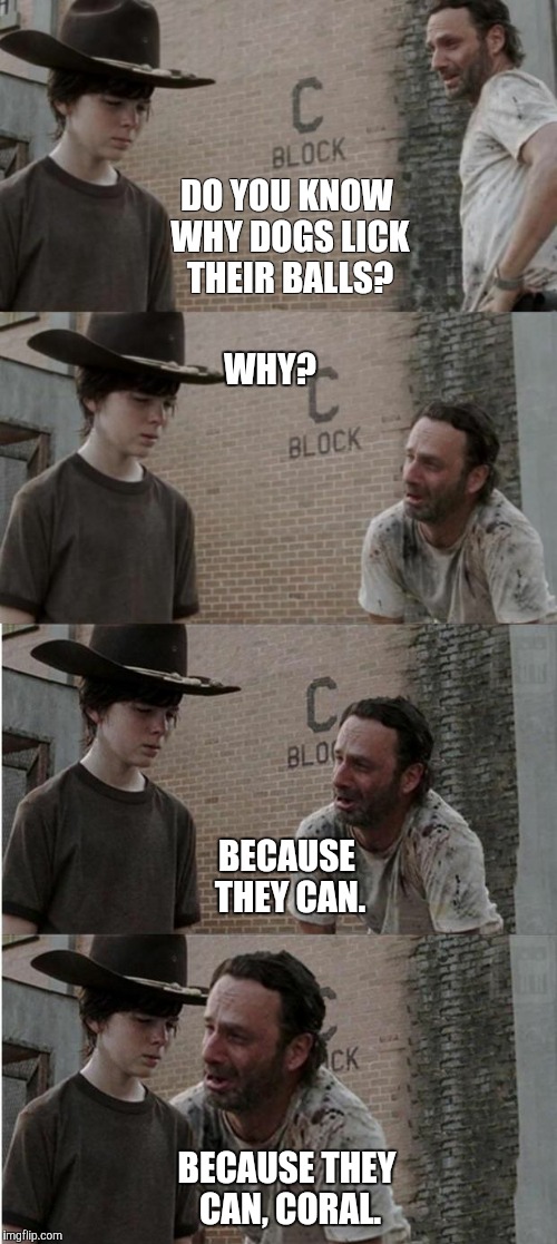 Why do dogs lick their balls? | DO YOU KNOW WHY DOGS LICK THEIR BALLS? WHY? BECAUSE THEY CAN. BECAUSE THEY CAN, CORAL. | image tagged in coral,the walking dead coral,balls | made w/ Imgflip meme maker