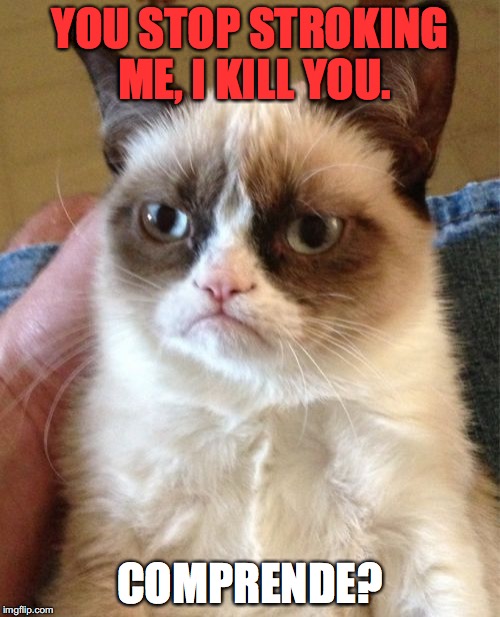 My pet cat's got no chill!! | YOU STOP STROKING ME, I KILL YOU. COMPRENDE? | image tagged in memes,grumpy cat | made w/ Imgflip meme maker