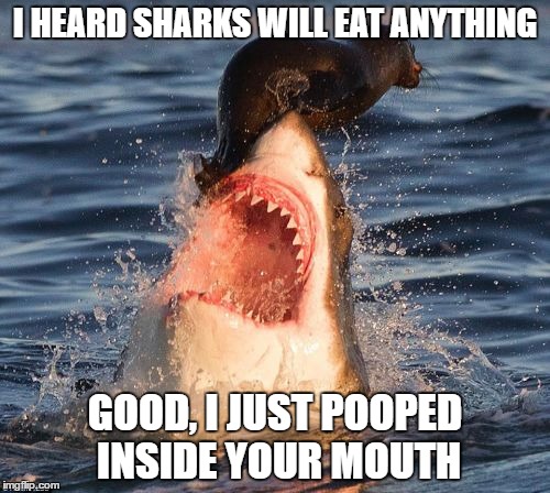 Travelonshark | I HEARD SHARKS WILL EAT ANYTHING; GOOD, I JUST POOPED INSIDE YOUR MOUTH | image tagged in memes,travelonshark | made w/ Imgflip meme maker