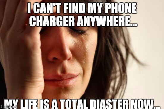 That's all I care about! | I CAN'T FIND MY PHONE CHARGER ANYWHERE... MY LIFE IS A TOTAL DIASTER NOW... | image tagged in memes,first world problems | made w/ Imgflip meme maker
