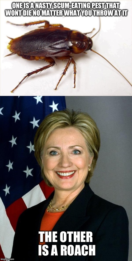 My apologies to roaches everywhere for the comparison. | ONE IS A NASTY SCUM-EATING PEST THAT WONT DIE NO MATTER WHAT YOU THROW AT IT; THE OTHER IS A ROACH | image tagged in hillary clinton,memes,funny,roach | made w/ Imgflip meme maker
