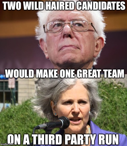 Wild Haired Candidates | TWO WILD HAIRED CANDIDATES; WOULD MAKE ONE GREAT TEAM; ON A THIRD PARTY RUN | image tagged in jill stein,bernie sanders,green party,president,vice president,team | made w/ Imgflip meme maker