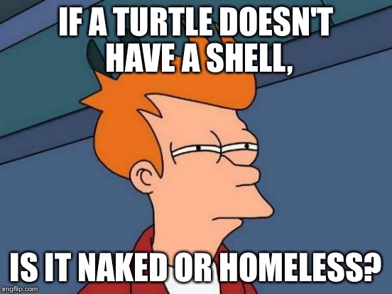 Futurama Fry Meme | IF A TURTLE DOESN'T HAVE A SHELL, IS IT NAKED OR HOMELESS? | image tagged in memes,futurama fry | made w/ Imgflip meme maker