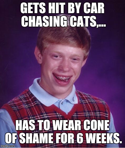Bad Luck Brian Meme | GETS HIT BY CAR CHASING CATS,... HAS TO WEAR CONE OF SHAME FOR 6 WEEKS. | image tagged in memes,bad luck brian | made w/ Imgflip meme maker